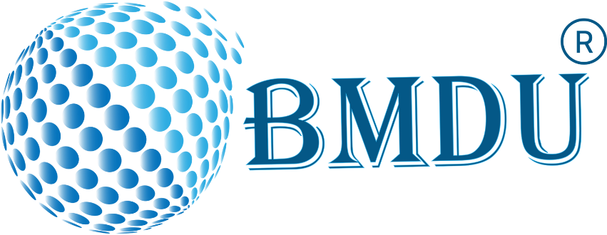 bmdu | digital marketing company